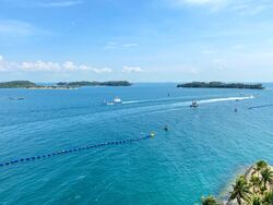 The Oceanfront @ Sentosa Cove (D4), Condominium #288260471